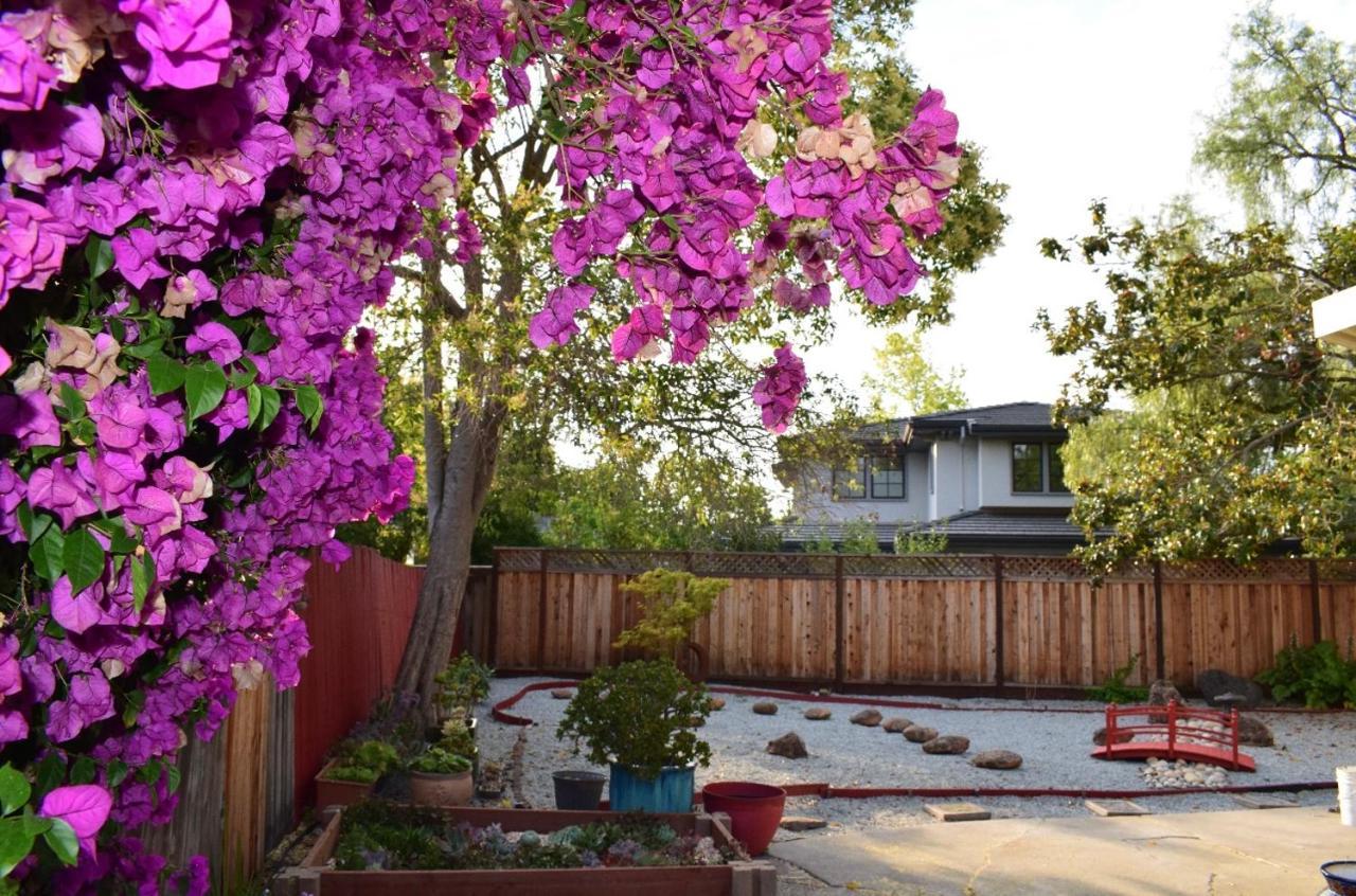Palo Alto Quiet 1 Bedroom Stanford University Exterior photo